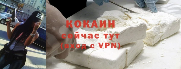 дживик Бронницы
