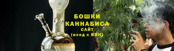 прущие грибы Богородицк