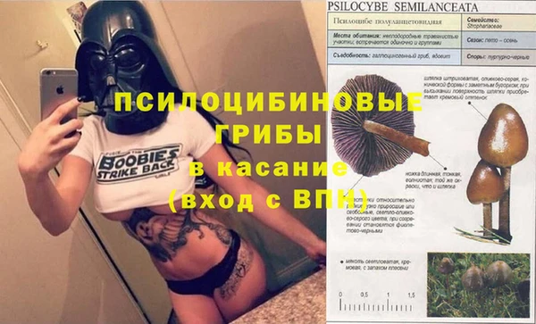 скорость Богородск
