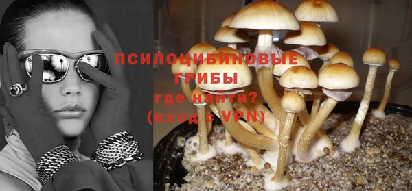 метамфетамин Богданович