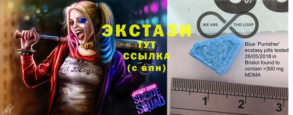 прущие грибы Богородицк