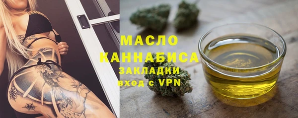 дживик Бронницы