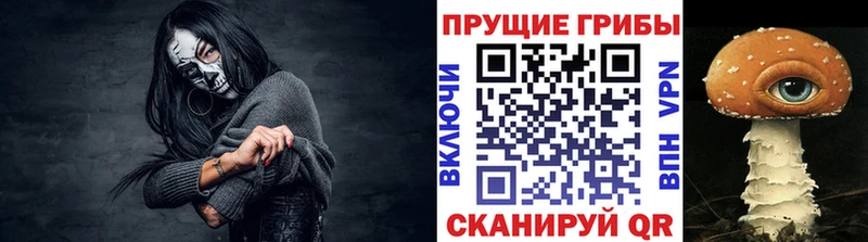 Псилоцибиновые грибы Cubensis  Томари 